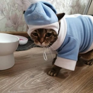 Снегурочка?