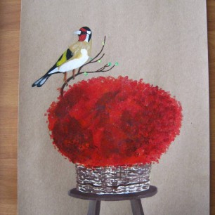 Щегол и гипсофилы