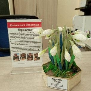 Первые подснежники