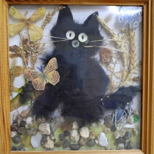 Мой котёнок
