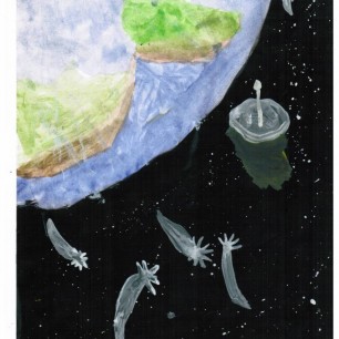 Кометы