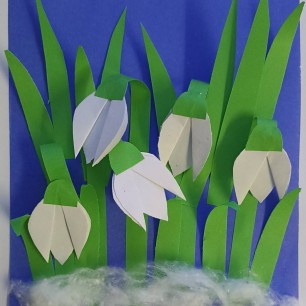 Первые цветы