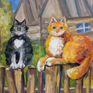 Коты на заборе