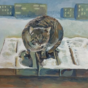 Кот Василий
