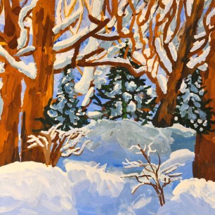 Снежная зима