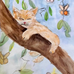 «Пушистые сны»