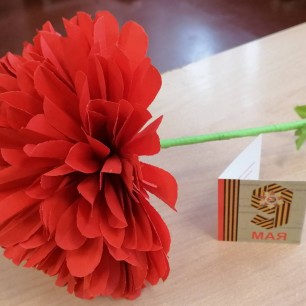 Цветок Победы