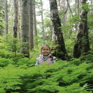 Берёзовая роща