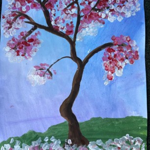 «Вишневый цвет»