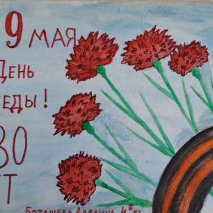 Гвоздика цветок жизни