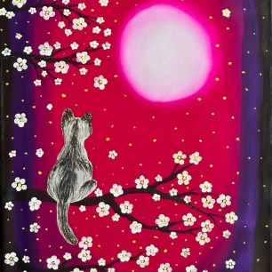 Кошка на закате