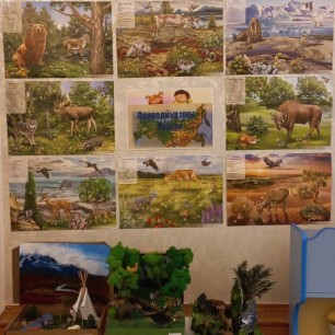 Природные зоны России