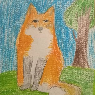 Лиса на опушке леса