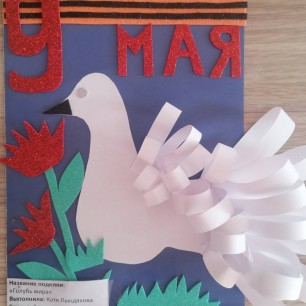"Голубь Мира"