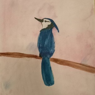 Редкая птица