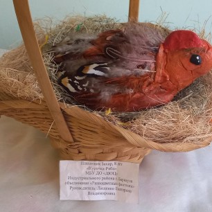 Курочка-ряба