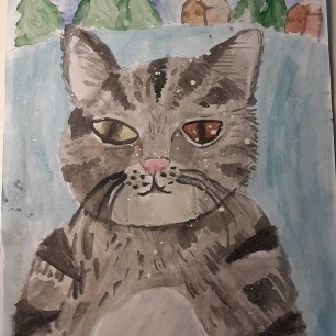 Зимний котик