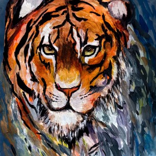 Амурский тигр