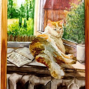 Кошка на окошке