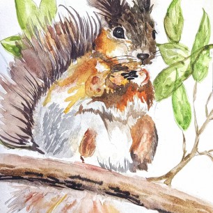 С ветки на ветку