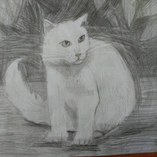 Кот "Пуша"