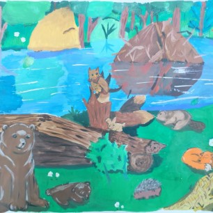 Обитатели наших лесов