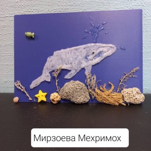 Подводный мир