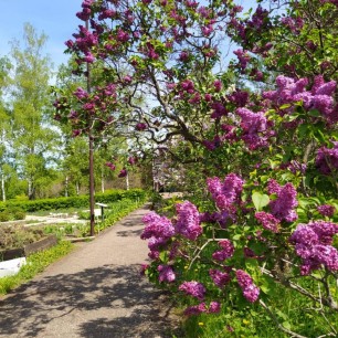Природа моего края