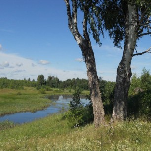 "Родные просторы "