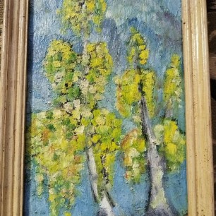 Берёзы над кручей.