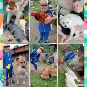 Мои любимые питомцы