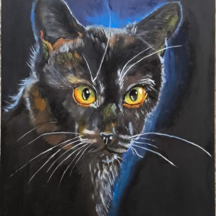 "Мой любимый кот"