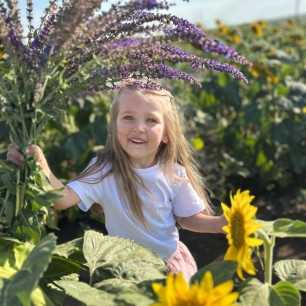 «Летнее разнотравье»