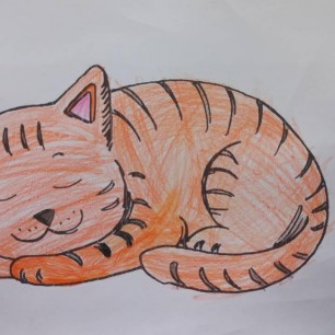 Рыжий кот