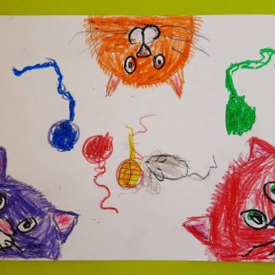 Кошачьи истории