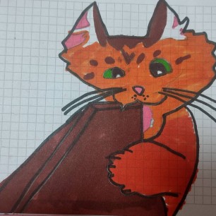 игривый котик