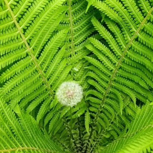 педагог, методист