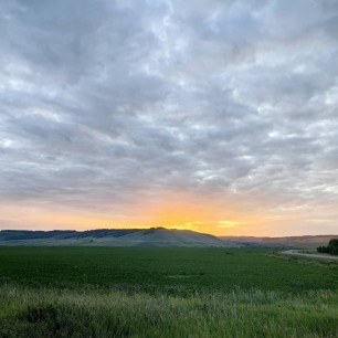 "Летний закат"