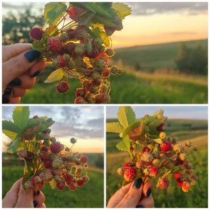 Вкусное лето