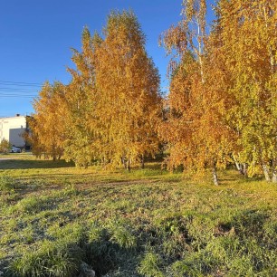 Золотая осень