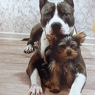 "Малыш и Зевс"