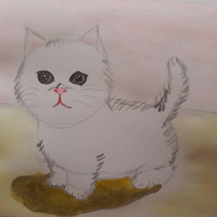Забавный котенок Муся