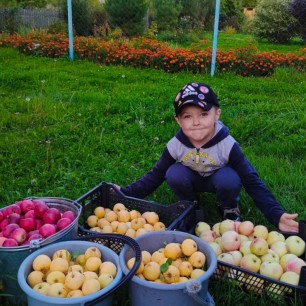 "Дары природы"
