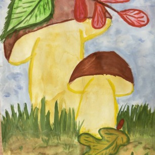 «Осенние грибы»