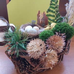 "Гнездо в лесу"