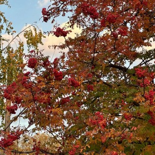 Краски осени