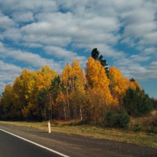 Осенняя гармония природы