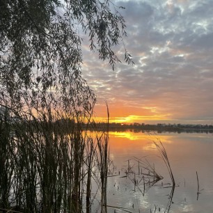 Летний закат