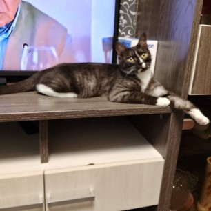 Мой Тимка