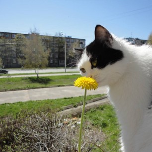 Встречая весну